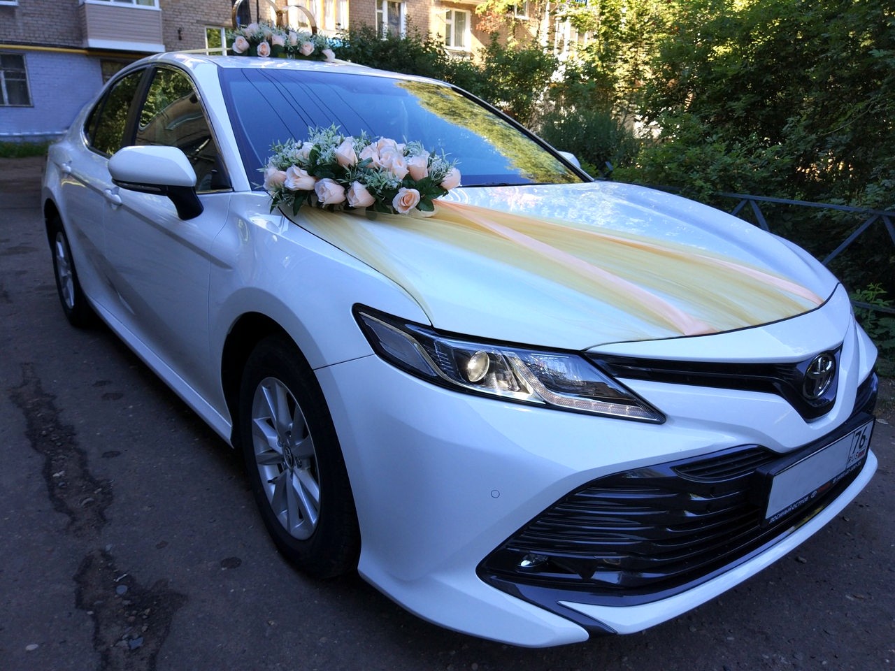 показать транспорт